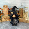 Halloween & Fall Decor